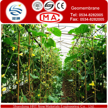 White Transparent HDPE Membrane for Greenhouses of Vegetable or Fruit